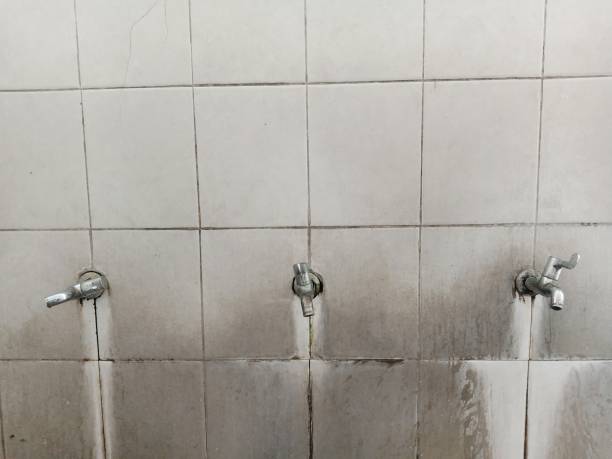 Best Carpet water damage restoration  in Prieville, NC