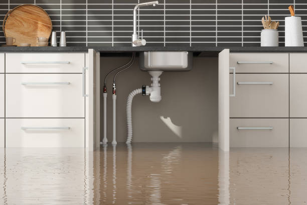 Best Professional water damage repair  in Prieville, NC