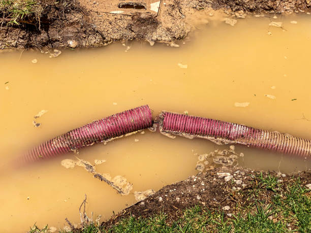Best Flood damage cleanup  in Prieville, NC